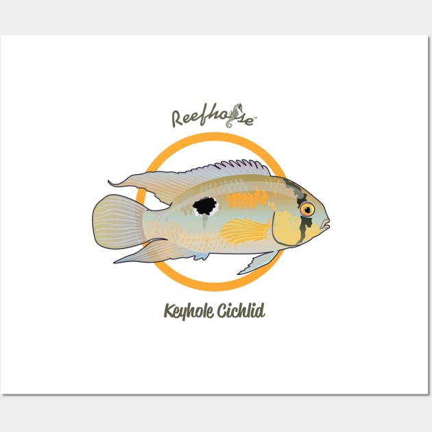 Keyhole Cichlid Wall Art by Reefhorse